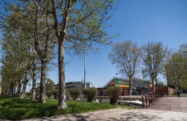 Serie B, Playoff, Venezia – Palermo: lagunari favoriti per un posto in finale